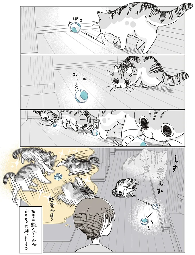 紙くずがおもちゃに勝つ