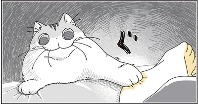 はみだしを許さない