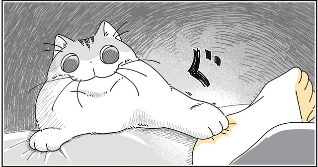 毛布からはみ出ているのが気に食わない？ 手足を執拗に構い出す猫