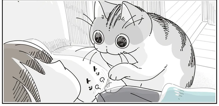 猫にトントンされる朝。可愛いので寝たふりをしたままでいると