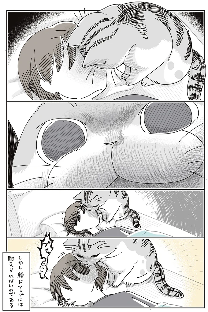 顔ドアップには耐えられない