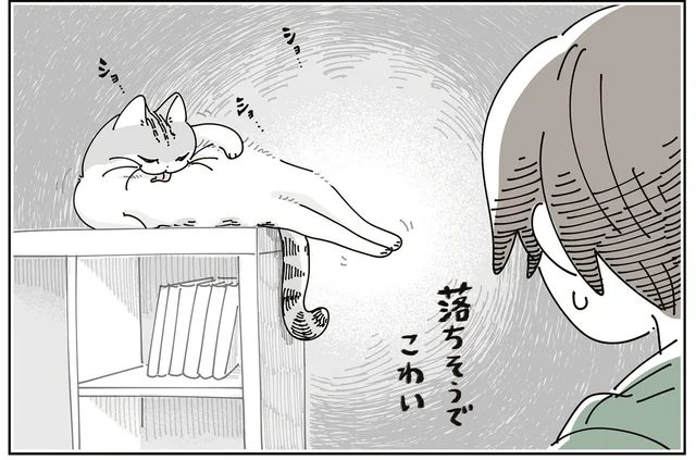 うーん、落ちそうで怖い。お気に入りのテレビ台の上でのびのびしている猫