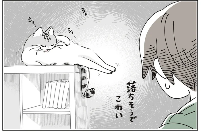 うーん、落ちそうで怖い。お気に入りのテレビ台の上でのびのびしている猫