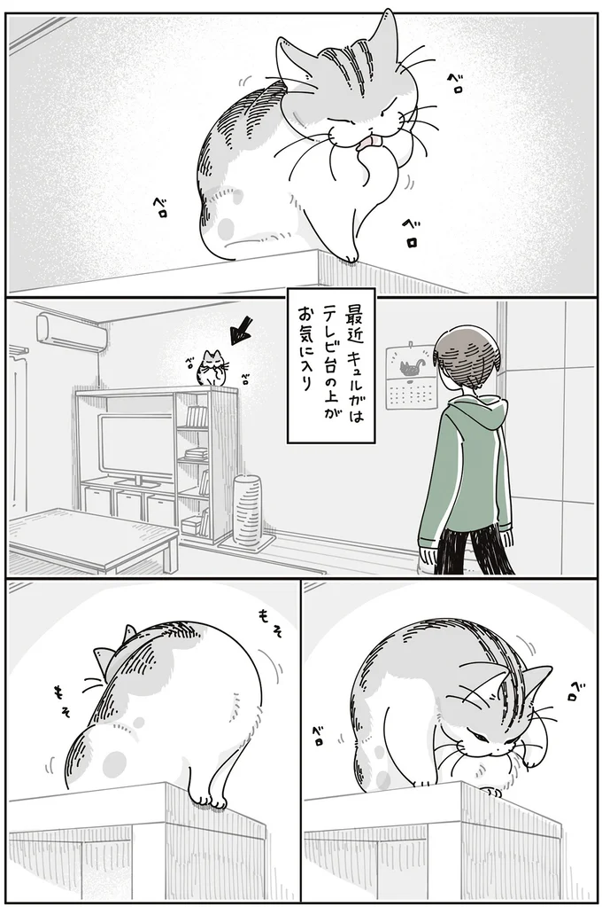 テレビ台の上がお気に入り