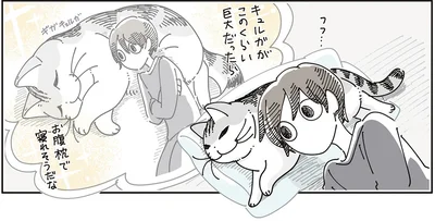 愛猫が巨大だったら