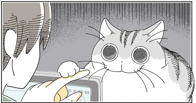 正体に気づき…