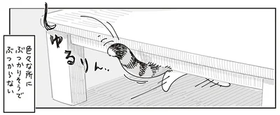 ぶつかりそうで…