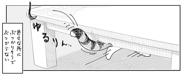 ぶつかりそうでぶつからない！ 猫がご機嫌なときのしっぽが不思議な動きをします