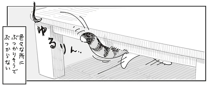 ぶつかりそうで…