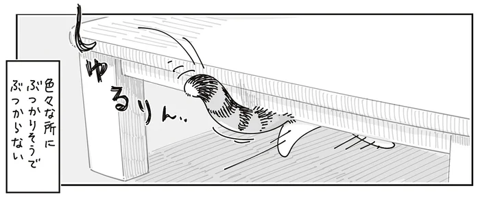 ぶつかりそうでぶつからない！ 猫がご機嫌なときのしっぽが不思議な動きをします