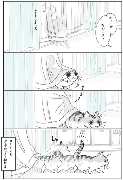 上手にすり抜ける