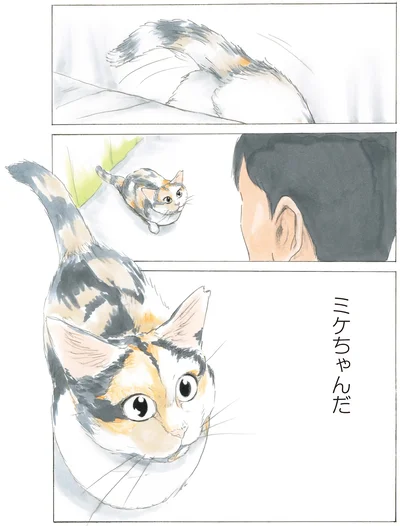 ミケちゃんだ