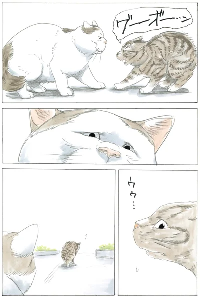 『続 ミケちゃんとやすらぎさん』より