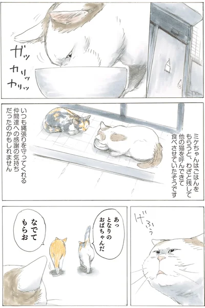 『続 ミケちゃんとやすらぎさん』より
