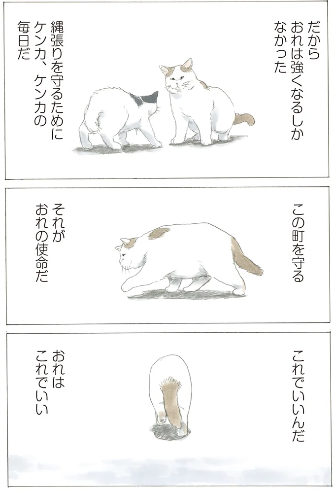 『続 ミケちゃんとやすらぎさん』より