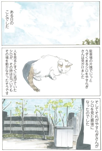 『続 ミケちゃんとやすらぎさん』より