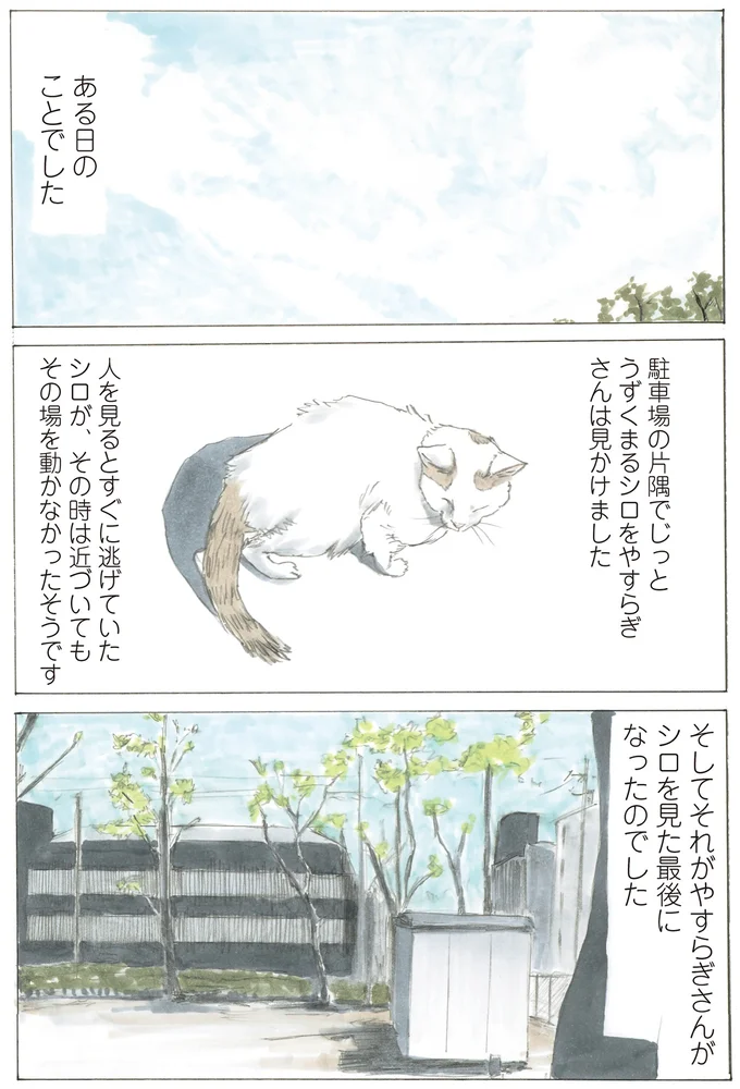 『続 ミケちゃんとやすらぎさん』より