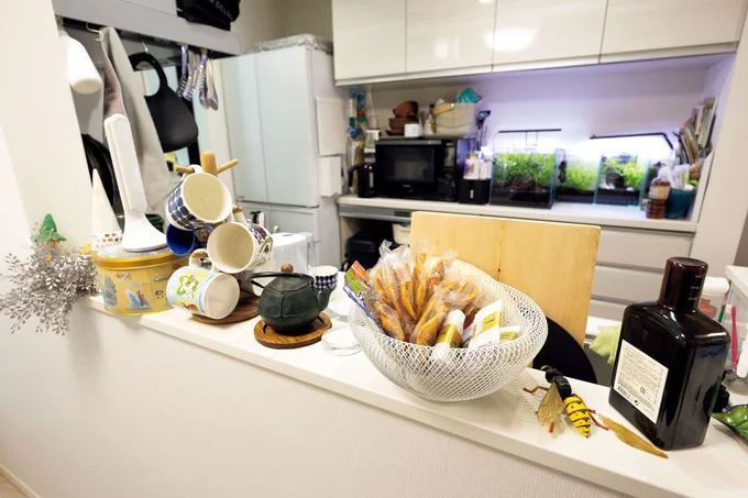 【BEFORE】キッチンカウンターにあれこれ置いて視界も見栄えも悪い……（AFTER画像は次へ）