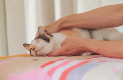 体がポカポカしてきて何だか眠くなってきちゃった