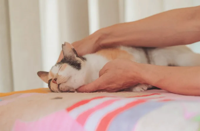 体がポカポカしてきて何だか眠くなってきちゃった