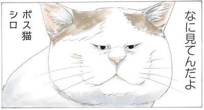 なに見てんだよ