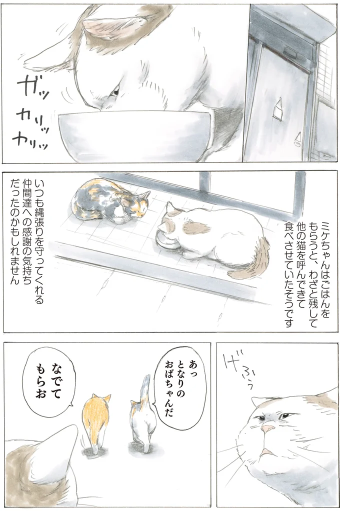 仲間達への感謝の気持ち