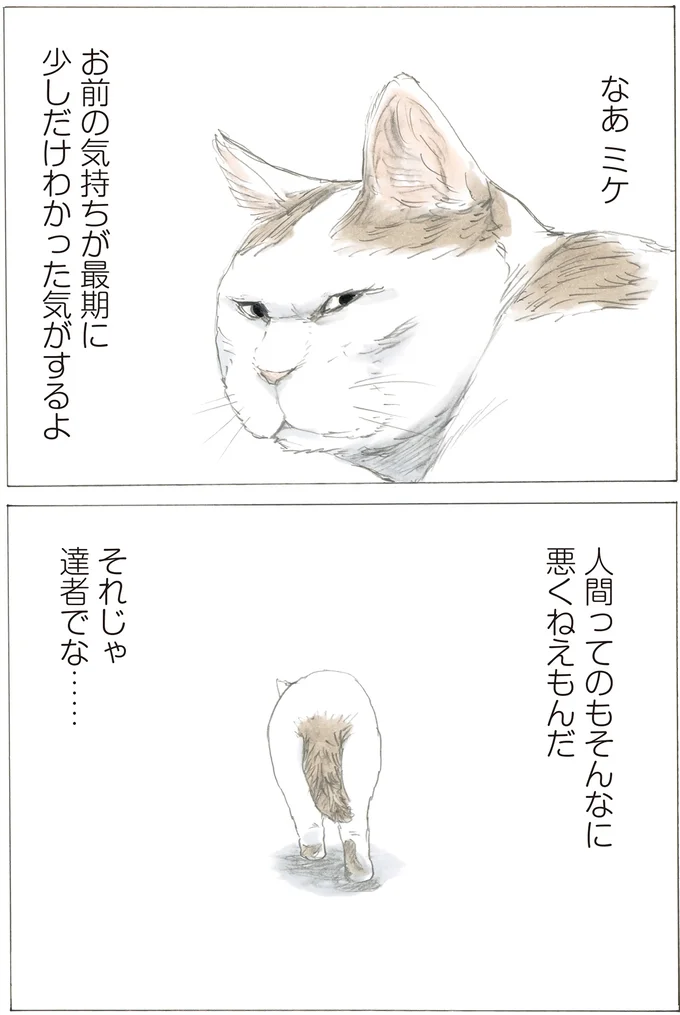 人間ってのもそんなに悪くねえもんだ