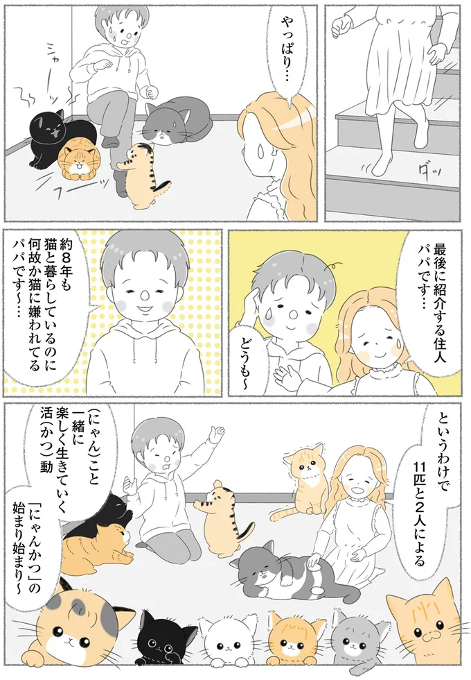 『にゃんかつ 11匹と2人の暮らし』より