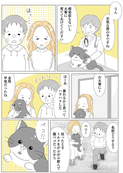 『にゃんかつ 11匹と2人の暮らし』より