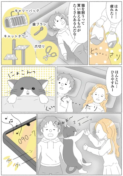 『にゃんかつ 11匹と2人の暮らし』より