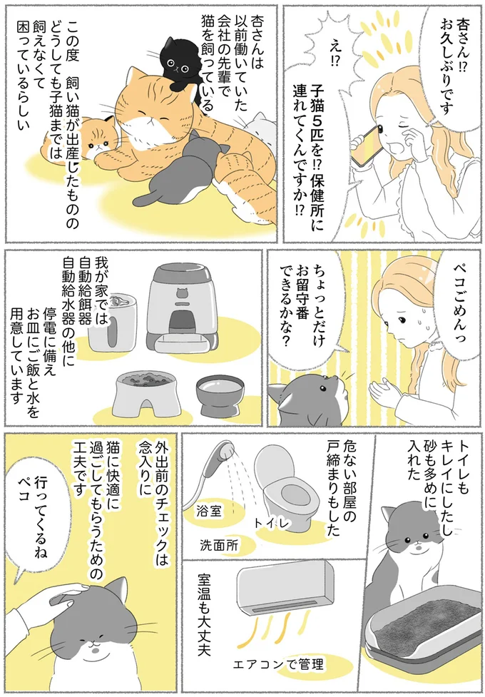 『にゃんかつ 11匹と2人の暮らし』より