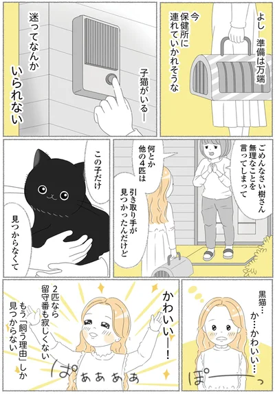 『にゃんかつ 11匹と2人の暮らし』より