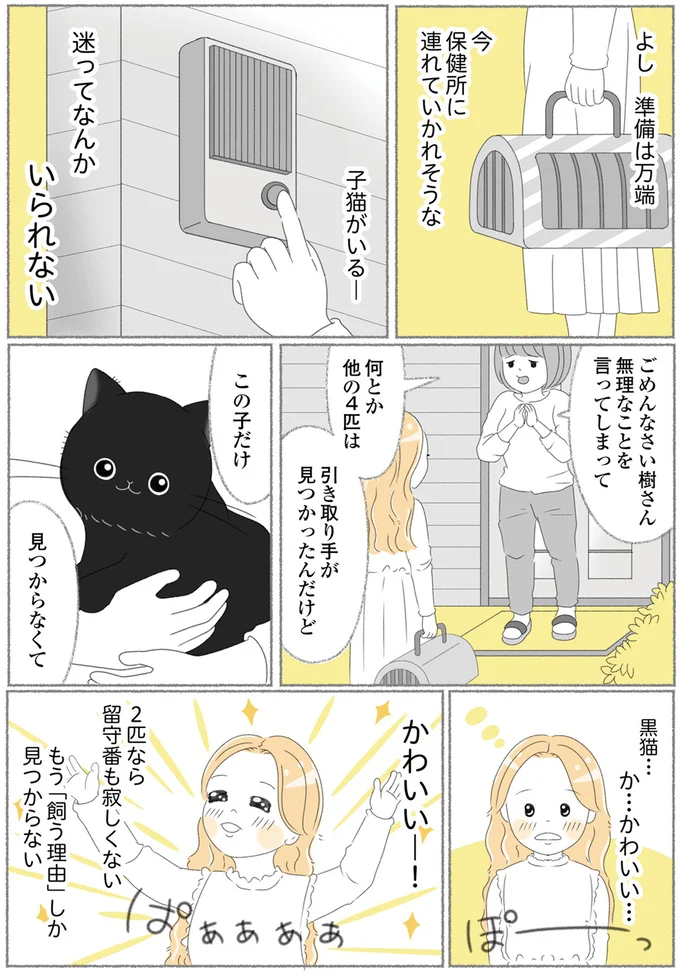 『にゃんかつ 11匹と2人の暮らし』より
