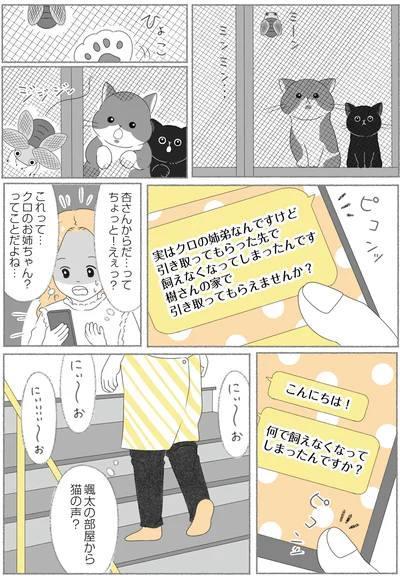 『にゃんかつ 11匹と2人の暮らし』より