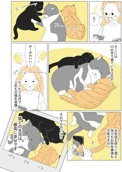 『にゃんかつ 11匹と2人の暮らし』より