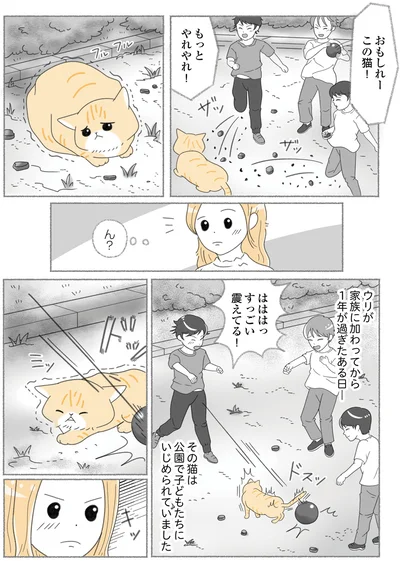『にゃんかつ 11匹と2人の暮らし』より