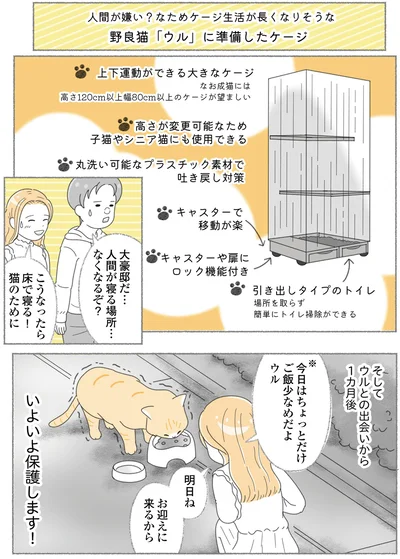 『にゃんかつ 11匹と2人の暮らし』より