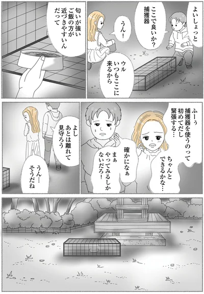 『にゃんかつ 11匹と2人の暮らし』より