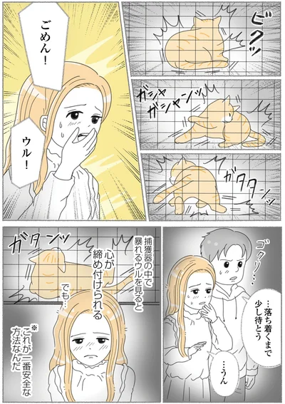 『にゃんかつ 11匹と2人の暮らし』より