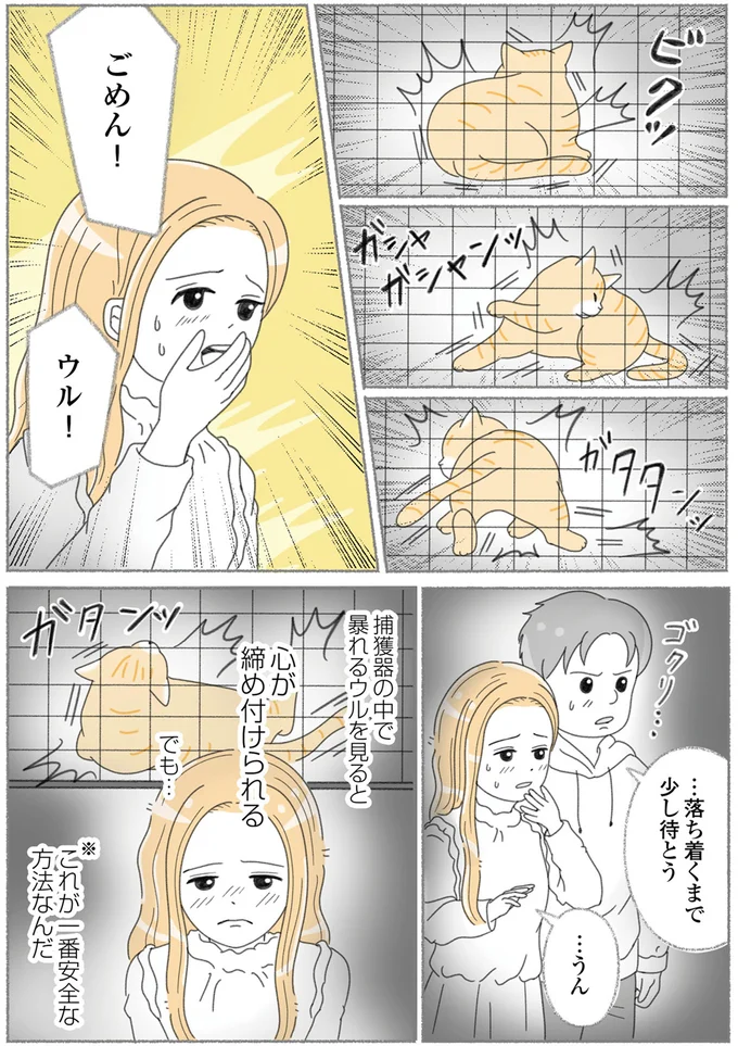 『にゃんかつ 11匹と2人の暮らし』より