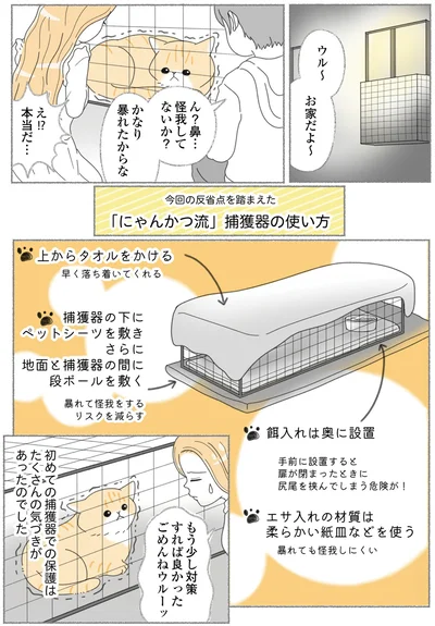 『にゃんかつ 11匹と2人の暮らし』より