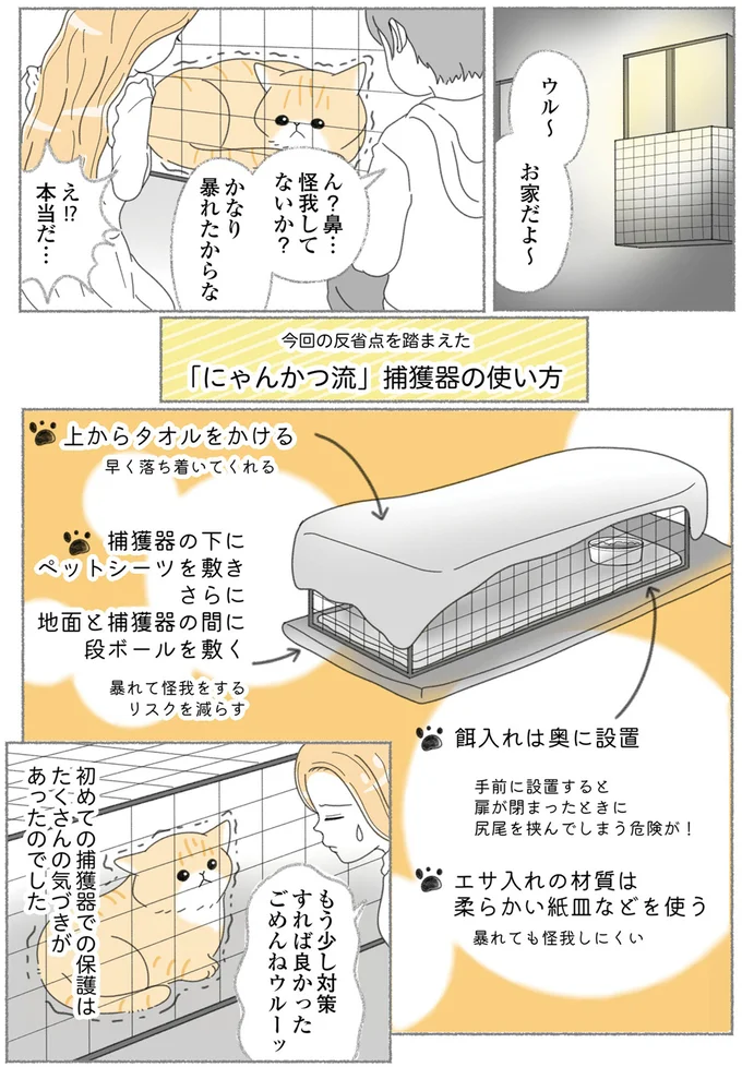 『にゃんかつ 11匹と2人の暮らし』より