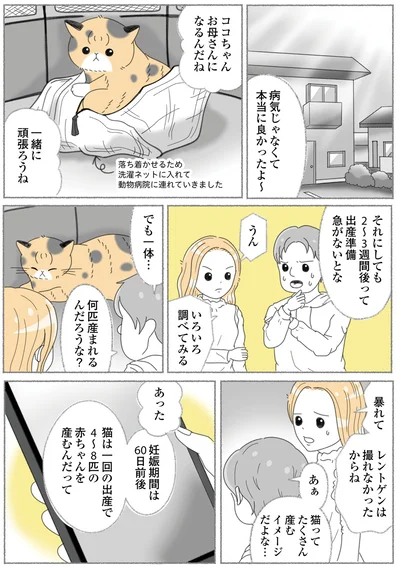『にゃんかつ 11匹と2人の暮らし』より