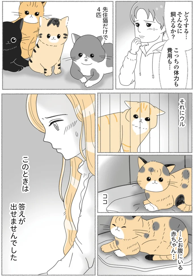 『にゃんかつ 11匹と2人の暮らし』より