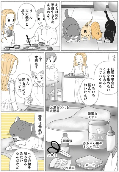 『にゃんかつ 11匹と2人の暮らし』より