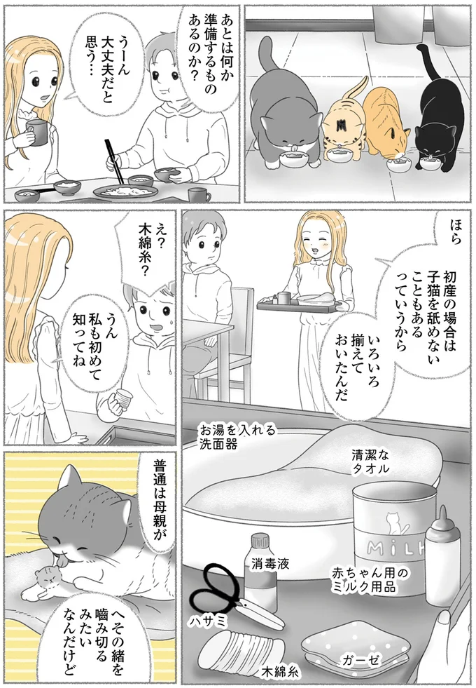 『にゃんかつ 11匹と2人の暮らし』より