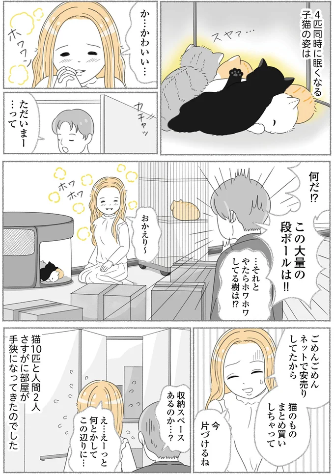 『にゃんかつ 11匹と2人の暮らし』より