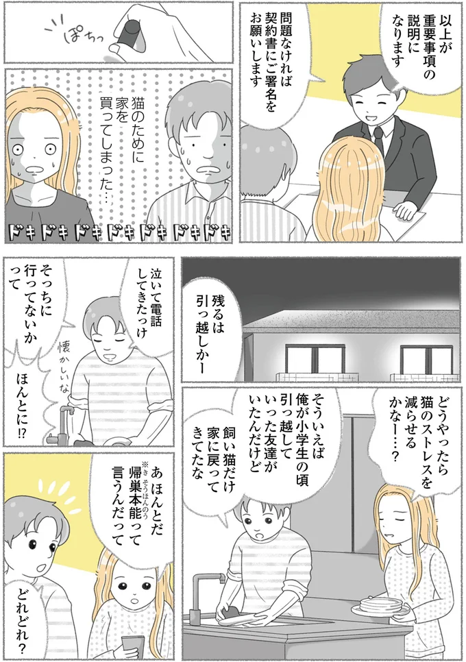 『にゃんかつ 11匹と2人の暮らし』より