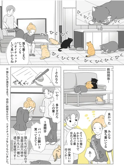 『にゃんかつ 11匹と2人の暮らし』より