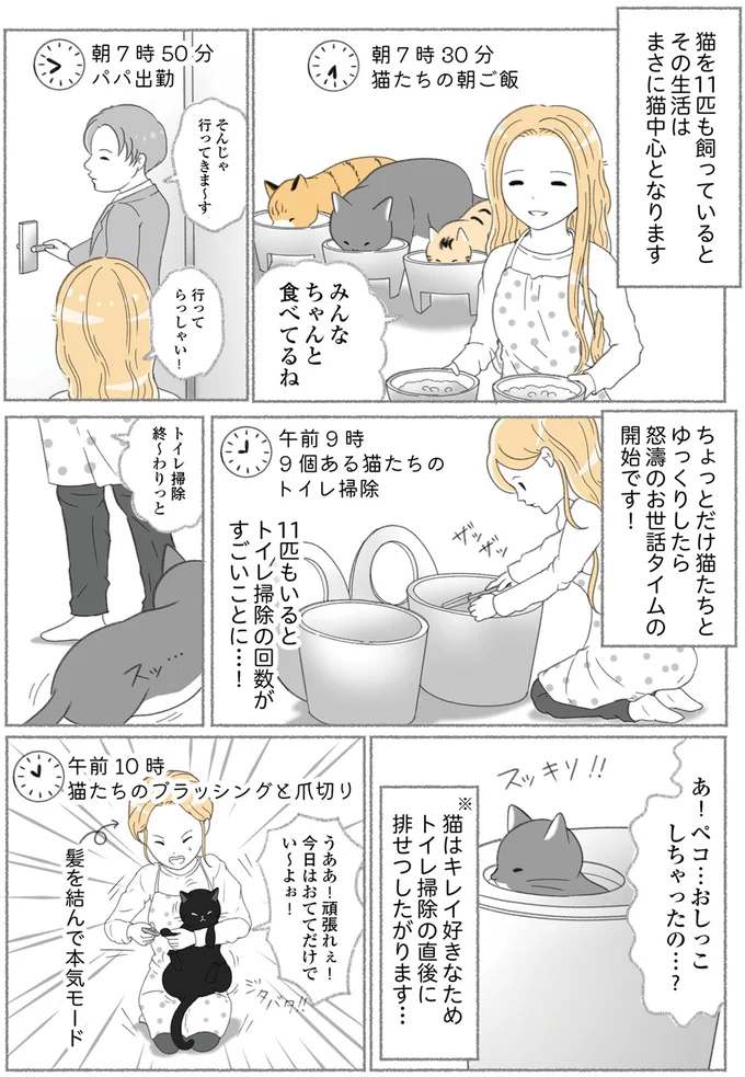『にゃんかつ 11匹と2人の暮らし』より